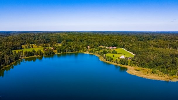 Wolisko - zdjęcie 6