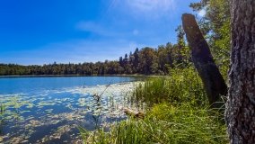 jezioro Wolisko - zdjęcie 5