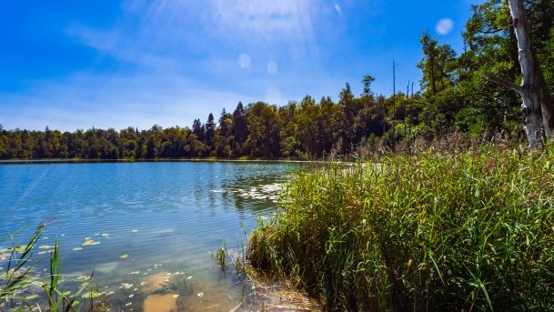 Wolisko - zdjęcie 1