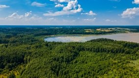 jezioro Oświn - zdjęcie 3