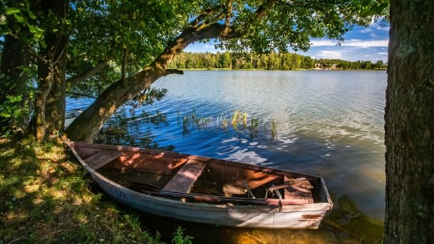 Wągiel - zdjęcie 13