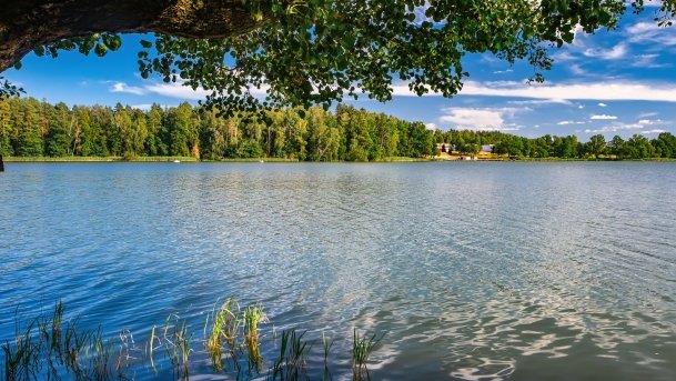 Wągiel - zdjęcie 12