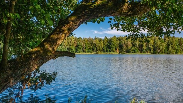 Wągiel - zdjęcie 11