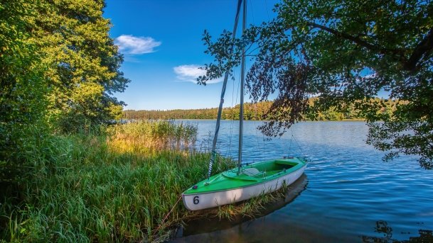 Wągiel - zdjęcie 10