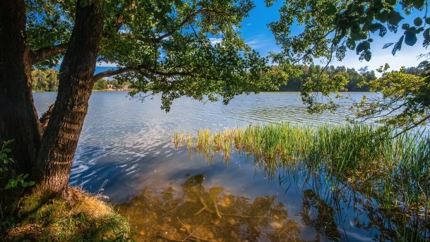 Wągiel - zdjęcie 9