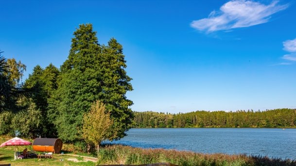 Wągiel - zdjęcie 8