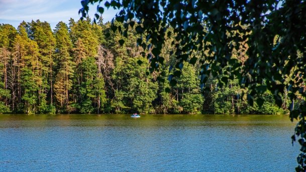 Wągiel - zdjęcie 7