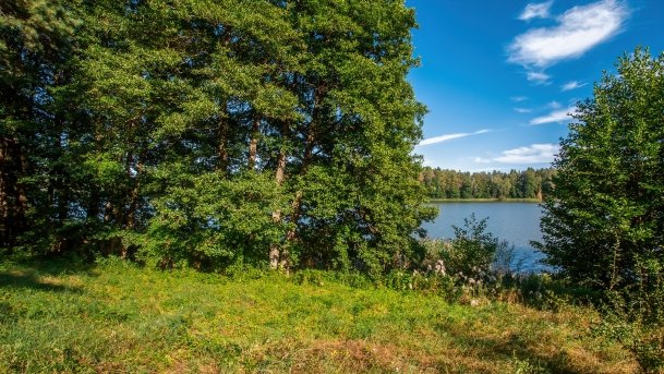 Wągiel - zdjęcie 4