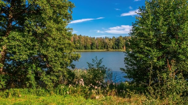 Wągiel - zdjęcie 2