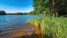 jezioro Mały Wągiel - zdjęcie 18