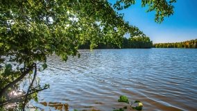 jezioro Mały Wągiel - zdjęcie 17