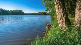 jezioro Mały Wągiel - zdjęcie 16