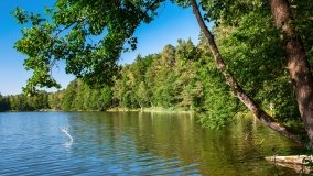 jezioro Mały Wągiel - zdjęcie 15