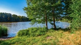 jezioro Mały Wągiel - zdjęcie 13