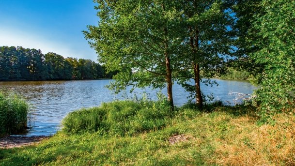 Mały Wągiel - zdjęcie 13