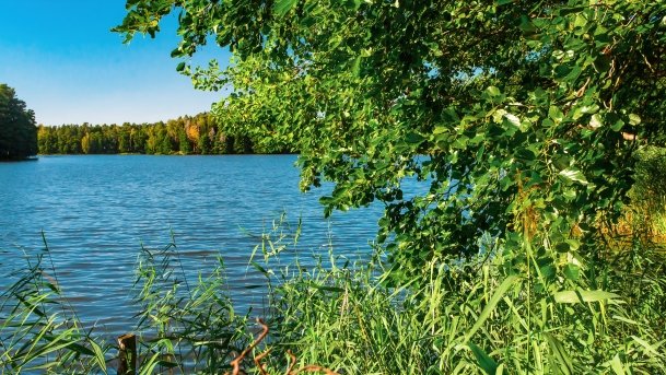 Mały Wągiel - zdjęcie 12