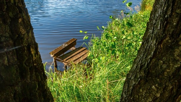 Mały Wągiel - zdjęcie 11