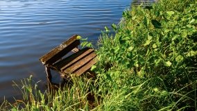 jezioro Mały Wągiel - zdjęcie 10