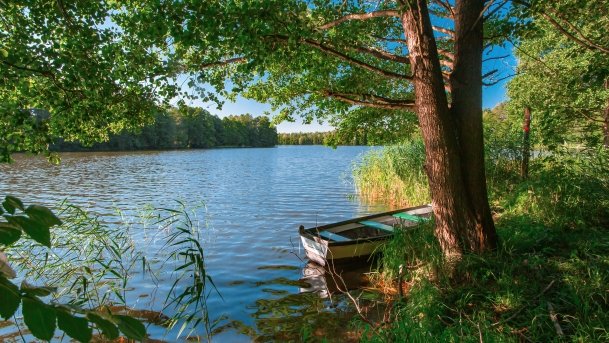 Mały Wągiel - zdjęcie 9