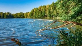 jezioro Mały Wągiel - zdjęcie 8