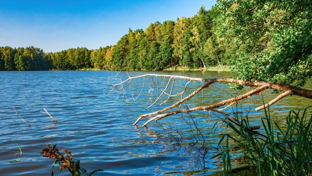 Mały Wągiel - zdjęcie 8