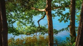 jezioro Mały Wągiel - zdjęcie 7