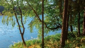 jezioro Mały Wągiel - zdjęcie 6