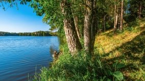 jezioro Mały Wągiel - zdjęcie 5