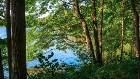 jezioro Mały Wągiel - zdjęcie 4