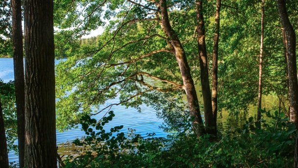 Mały Wągiel - zdjęcie 4