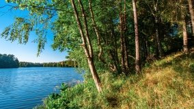 jezioro Mały Wągiel - zdjęcie 3