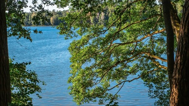 Mały Wągiel - zdjęcie 2