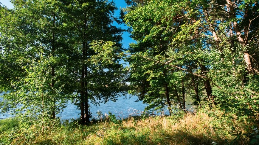 jezioro Mały Wągiel - zdjęcie 1