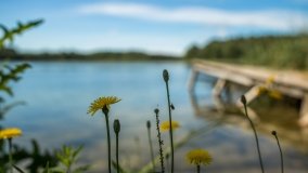 Jezioro Skrodzkie - zdjęcie 19