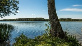 Jezioro Skrodzkie - zdjęcie 10