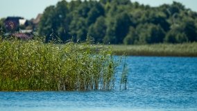 Jezioro Skrodzkie - zdjęcie 5