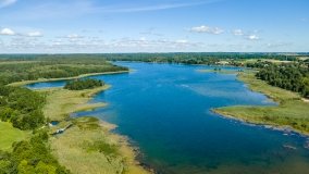 Jezioro Borowe - zdjęcie 13