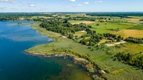 Jezioro Borowe - zdjęcie 11