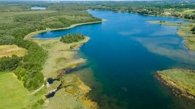 Jezioro Borowe - zdjęcie 9