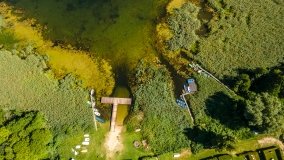 Jezioro Borowe - zdjęcie 8