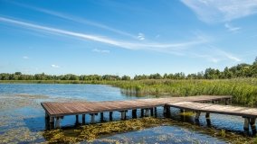 Jezioro Borowe - zdjęcie 3