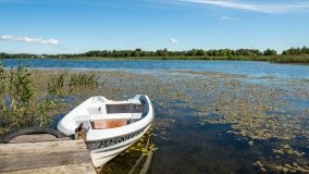 Jezioro Borowe - zdjęcie 2