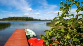 Jezioro Dybowskie - zdjęcie 21