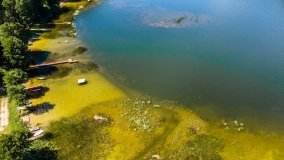 Jezioro Dybowskie - zdjęcie 18