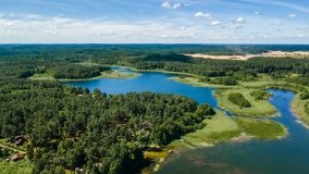 Jezioro Dybowskie - zdjęcie 14