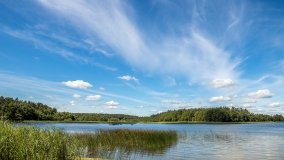 Jezioro Dybowskie - zdjęcie 13