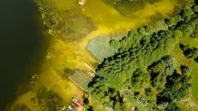 Jezioro Dybowskie - zdjęcie 12