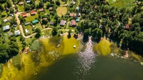 Jezioro Dybowskie - zdjęcie 11