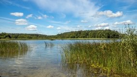 Jezioro Dybowskie - zdjęcie 10