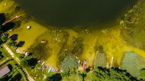 Jezioro Dybowskie - zdjęcie 9